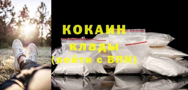 ПСИЛОЦИБИНОВЫЕ ГРИБЫ Михайловка