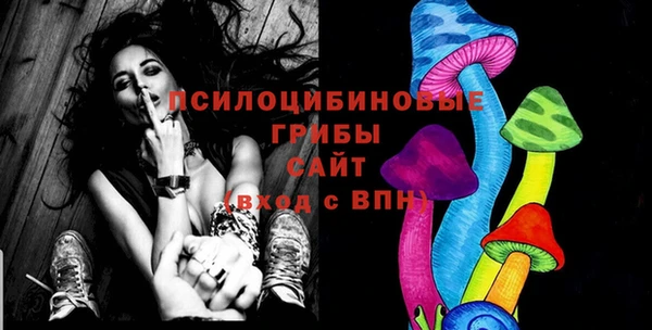 ПСИЛОЦИБИНОВЫЕ ГРИБЫ Михайловка
