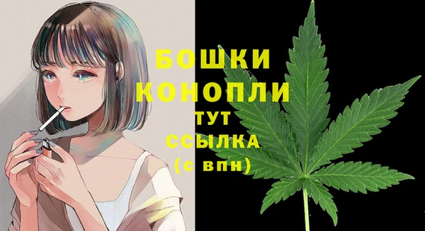 ПСИЛОЦИБИНОВЫЕ ГРИБЫ Михайловка